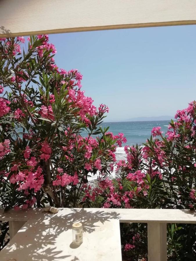 Kardhianí "Sea Front" Rose'S House 빌라 외부 사진