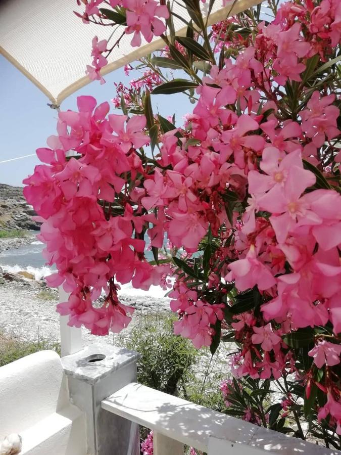 Kardhianí "Sea Front" Rose'S House 빌라 외부 사진
