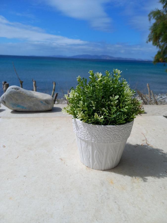 Kardhianí "Sea Front" Rose'S House 빌라 외부 사진